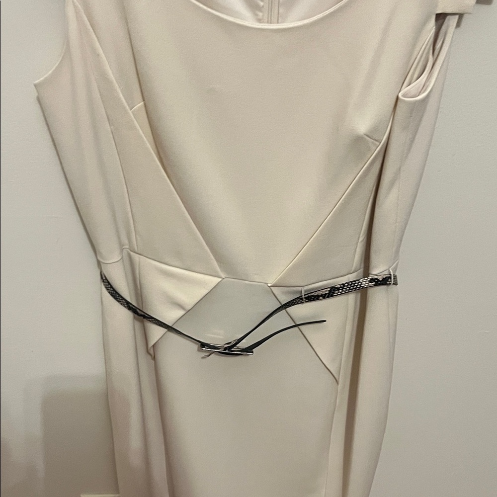 Adrianna Papell Cream Midi Dress with Silver Belt - Picture 6 of 7